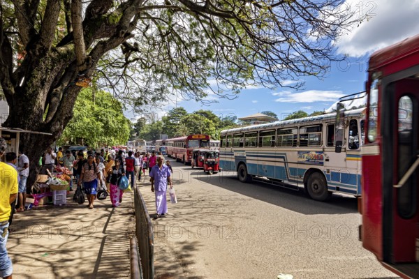 Busy street with passing buses and people under trees in sunny weather, Kandy bus station in Sri Lanka