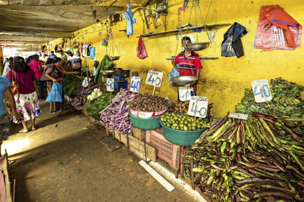 A market area with various types of vegetables and clearly marked prices on a yellow wall, The old market halls of Kandy in Sri Lanka