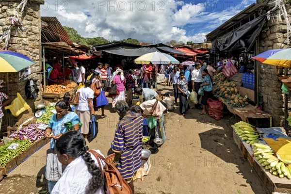 A lively marketplace full of people buying fruit and vegetables, The ancient market halls of Kandy in Sri Lanka