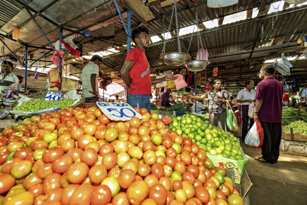 A market full of fresh tomatoes and lemons, animated by people and sales activities, The old market halls of Kandy in Sri Lanka