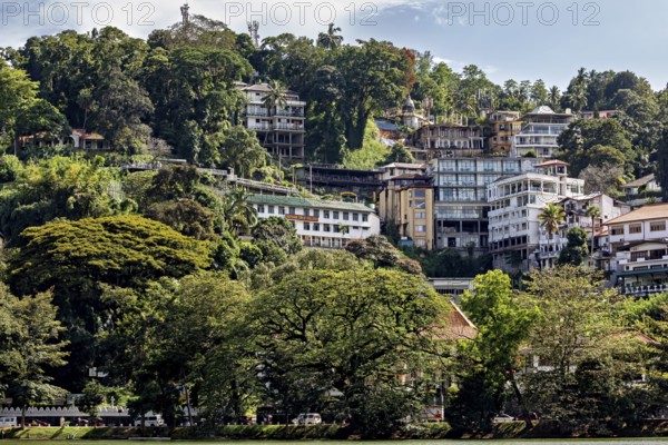 Houses on a wooded hill with tropical vegetation and urban architecture under blue skies, houses in the hills around Kandy in Sri Lanka