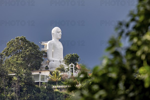 Large white Buddha statue on a hill surrounded by lush nature under blue sky, White Buddha statue in the hills of Kandy in Sri Lanka