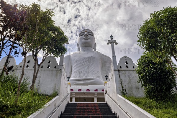 Impressive Buddha statue on the temple grounds, surrounded by stairs and trees, with cloudy sky, white Buddha statue in a temple in Kandy in Sri Lanka