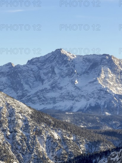 Zugspitze peaks, snowy mountain peaks, view from Tegelberg in winter, Schwangau, Allgäu Alps, Bavaria, Germany