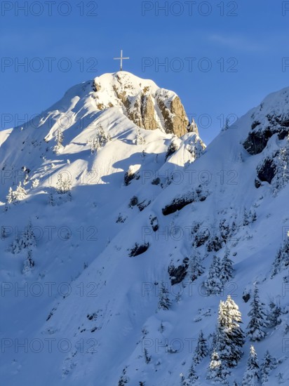 Snow-covered summit of Branderschrofen with summit cross, Tegelberg in winter, Schwangau, Allgäu Alps, Bavaria, Germany