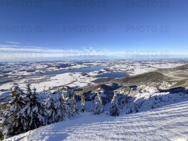 View of Forggensee and Bannwaldsee with snow in winter, ski tour on Tegelberg in winter, Schwangau, Allgäu Alps, Bavaria, Germany