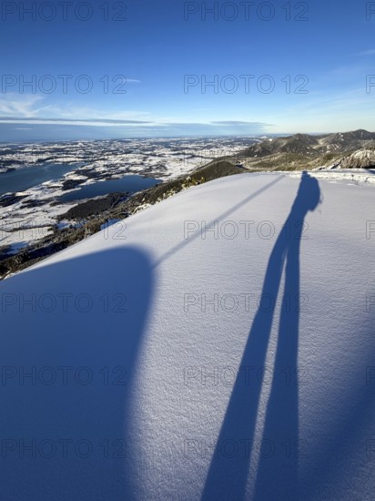 Shades of a ski tourer on fresh snow, view of Forggensee and Bannwaldsee with snow in winter, ski tour on the Tegelberg in winter, Schwangau, Allgäu Alps, Bavaria, Germany