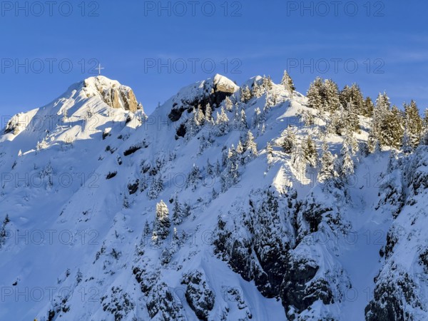 Snow-covered summit of Branderschrofen with summit cross, Tegelberg in winter, Schwangau, Allgäu Alps, Bavaria, Germany