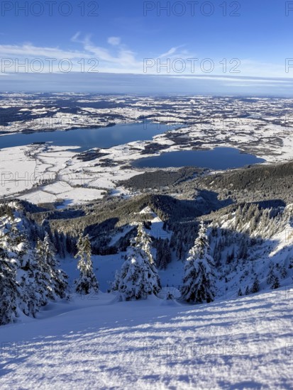 View of Forggensee and Bannwaldsee with snow in winter, ski tour on Tegelberg in winter, Schwangau, Allgäu Alps, Bavaria, Germany