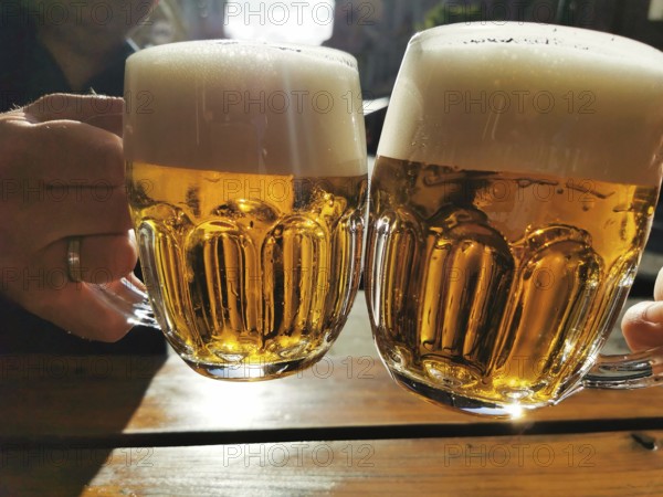 Two people toast with filled beer mugs at a table in the light, Czech Republic