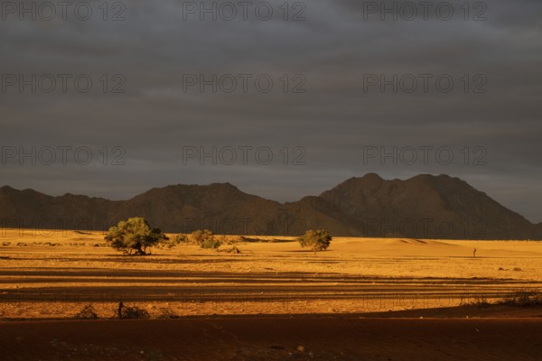 Evening in Namib Naukluft National Park