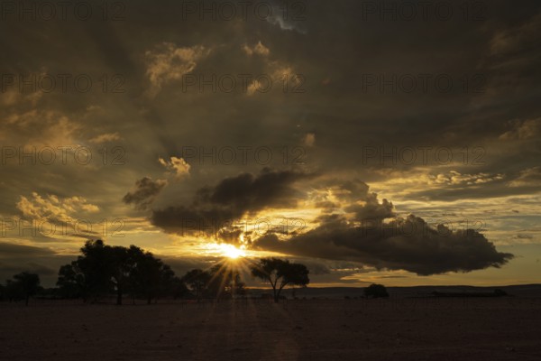 Sunset in Namib Naukluft National Park