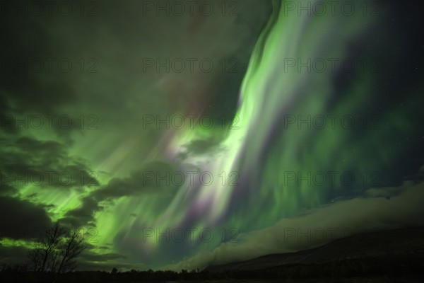 Northern lights, aurora borealis, over Dovrefjell-Sunndalsfjella National Park, Norway
