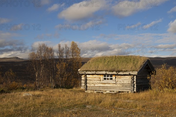 Lonely log cabin in tundra in autumn, Dovrefjell-Sunndalsfjella National Park, Norway