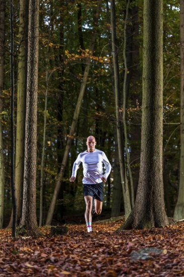 Man in a training session, trail running outdoors, healthy lifestyle, colorful autumn forest, Swabian forest, valley Remstal, Germany