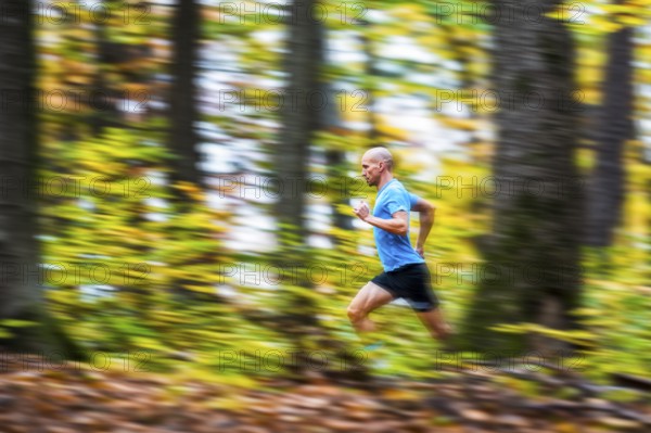 Man in a training session, trail running outdoors, healthy lifestyle, colorful autumn forest, Swabian forest, valley Remstal, Germany
