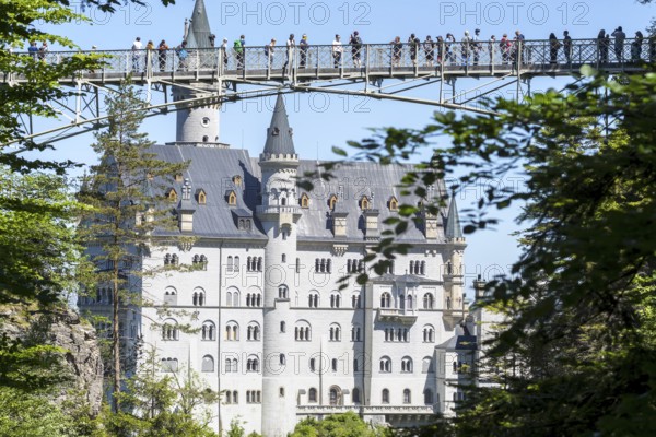 People on the Marienbrücke over the Pöllat Gorge, behind Neuschwanstein Castle near Hohenschwangau, Romantic Road, Ostallgäu, Allgäu, Bavaria, Germany