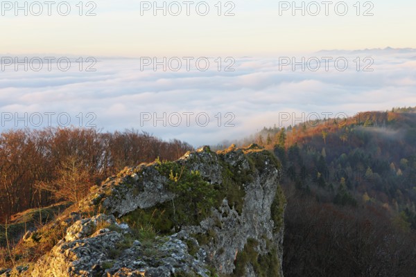 View of the sea of fog from Gisliflue, in morning light, Talheim, Canton, Aargau, Switzerland