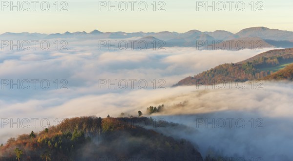 View from the Gisliflue of the Jura foothills covered in fog, in morning light, Talheim, Canton, Aargau, Switzerland