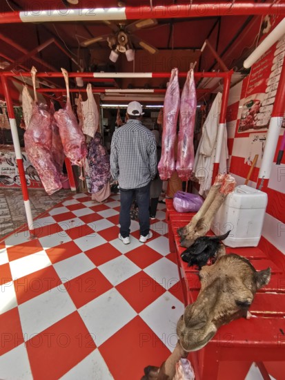 Interior view of a butcher's shop with meat products and striking tile pattern, camel head (camelum) and legs in the foreground, southern Morocco