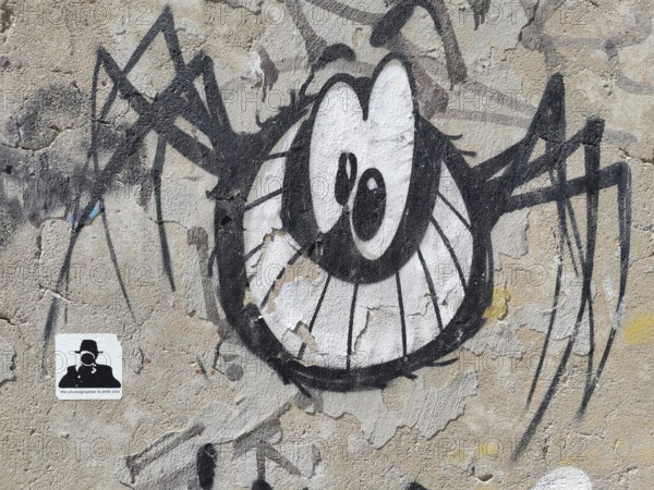 Graffiti of a stylised spider (araneae) on a weathered urban wall, Morocco