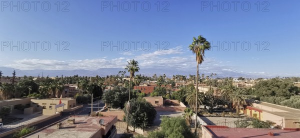 Cityscape with palm trees under a clear blue sky surrounded by low-rise buildings, Morocco