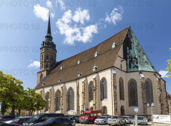 Fleischmarkt mit Dom St. Petri, Bautzen, Saxony, Germany