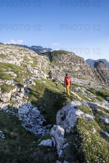 Hikers on the Grosté Plateau, mountain peaks of the Brenta Mountains, Brenta, Brenta-Adamello Natural Park, Trentino, Italy
