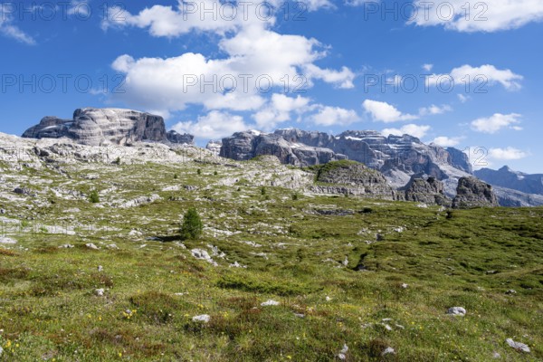 Grosté Plateau, summit of the Brenta Mountains, Brenta, Brenta-Adamello Natural Park, Trentino, Italy
