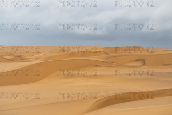 Sand dunes of the Namib Desert near Walvis Bay, Namibia
