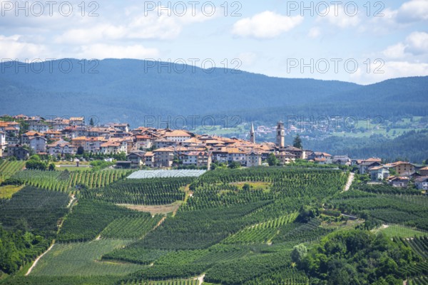 View of town, Varollo-Scanna village with fields and vineyards, Trentino, Italy