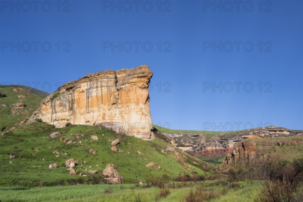 Brandwag Buttress, grassland with sandstone cliffs and cliffs, landscape in Golden Gate Highlands National Park, Free State, South Africa