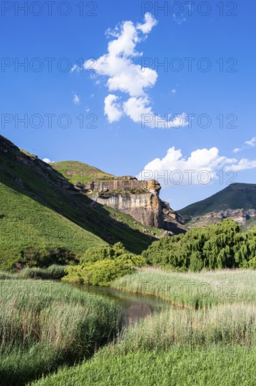 Grassland with sandstone cliffs and cliffs, landscape in Golden Gate Highlands National Park, Free State, South Africa