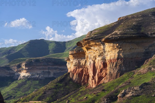 Mushroom Rock, grassland with sandstone cliffs and cliffs, landscape in Golden Gate Highlands National Park, Free State, South Africa