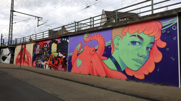 Graffiti applied as part of the MEMUR Urban Art Festival in Oldenburg, Lower Saxony, Germany (permanent artwork in public space)