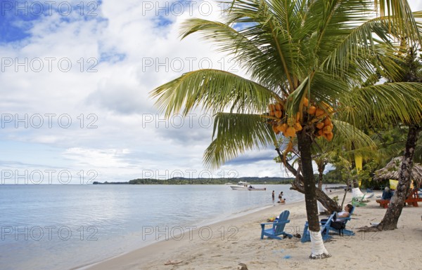 Sandy beach beach and coconut trees on Playa Blanca, Izabal Department, Guatemala