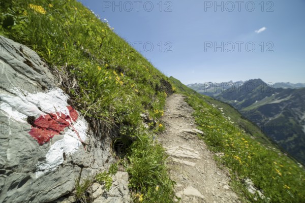 Trail marker on the Laufbacher-Eckweg, a demanding high-altitude hiking trail from Höfatsblick mountain station to Oytal, Allgäu Alps, Allgäu, Bavaria, Germany