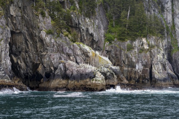 Mystical fog sweeps around rocky coast, Kenai Fjords National Park, Kenai Peninsula, Alaska, USA