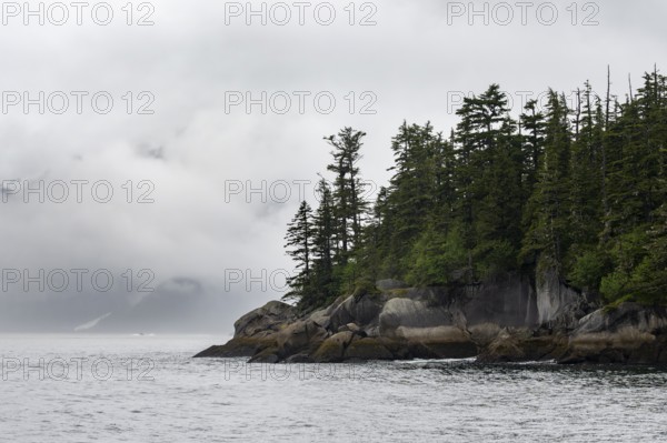 Rocky coast with coniferous forest, coastal landscape, mystical cloud-covered mountains, Kenai Fjords National Park, Kenai Peninsula, Alaska, USA