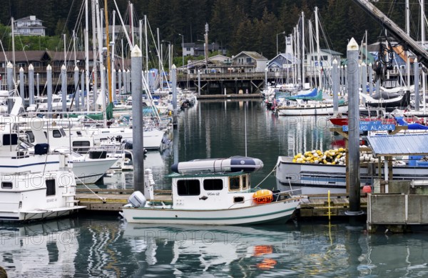 Sailing boats in harbor, Seward, Kenai Peninsula, Alaska, USA