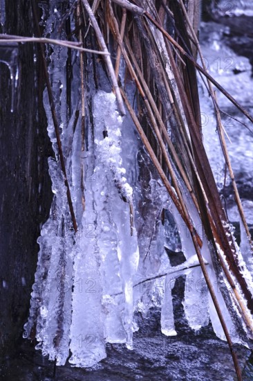 Ice on a watercourse, winter, Germany