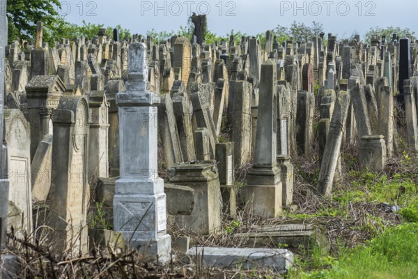 Tombstones at the Jewish cemetery, since 1866, Czernowicz, Bukovina, Ukraine