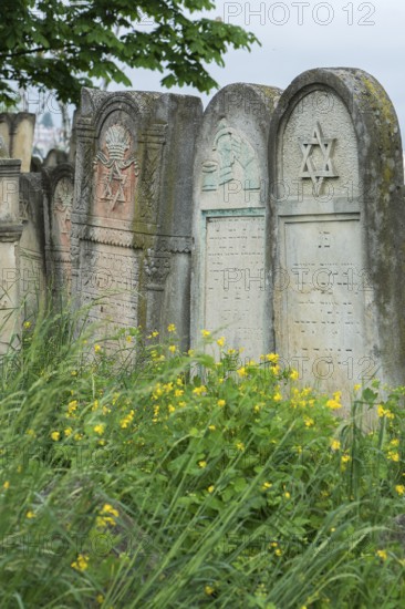 Tombstones with reliefs of symbols, Jewish cemetery, since 1866, Czernowicz, Bukovina, Ukraine