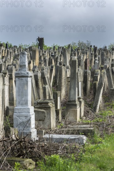 Tombstones at the Jewish cemetery, since 1866, Czernowicz, Bukovina, Ukraine
