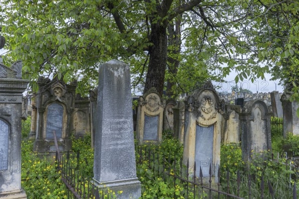 Old tombstones at the Jewish Cemetery, Czernowicz, Bukovina, Ukraine