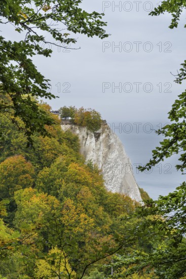 Victoria view of Königsstuhl, chalk cliffs and Baltic Sea, trees with autumn colors, Jasmund National Park, Sassnitz, Rügen island, Baltic Sea, Mecklenburg-Western Pomerania, Germany