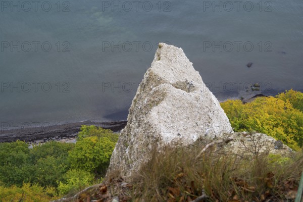 Victoria view of chalk cliffs and Baltic Sea, trees with autumn colors, view down, Jasmund National Park, Sassnitz, Rügen island, Baltic Sea, Mecklenburg-Western Pomerania, Germany