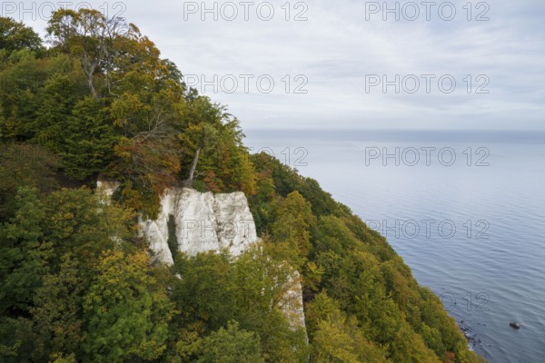 View of the chalk cliffs and Baltic Sea at the Königsstuhl National Park Center, Jasmund National Park, Sassnitz, Rügen Island, Baltic Sea, Mecklenburg-Western Pomerania, Germany