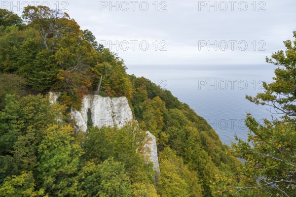 View of chalk cliffs and Baltic Sea, trees with autumn leaves, Jasmund National Park, Sassnitz, Rügen island, Baltic Sea, Mecklenburg-Western Pomerania, Germany