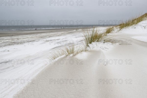 Snow-covered dunes on the North Sea beach, Langeoog, Lower Saxony, Germany
